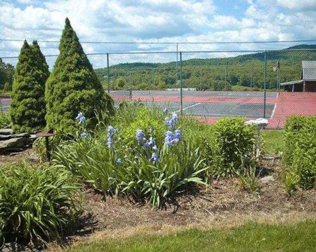 Endless Mountain Resort Union Dale Exterior photo