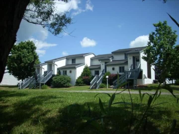 Endless Mountain Resort Union Dale Exterior photo